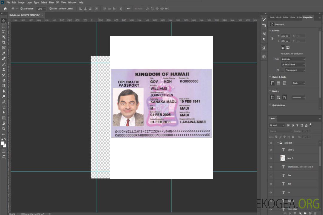 Visa HAWAÏ template Visa HAWAÏ template